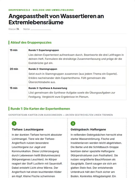 Beispiel: Gruppenpuzzle