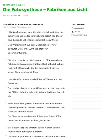 Beispiel: Textarbeit